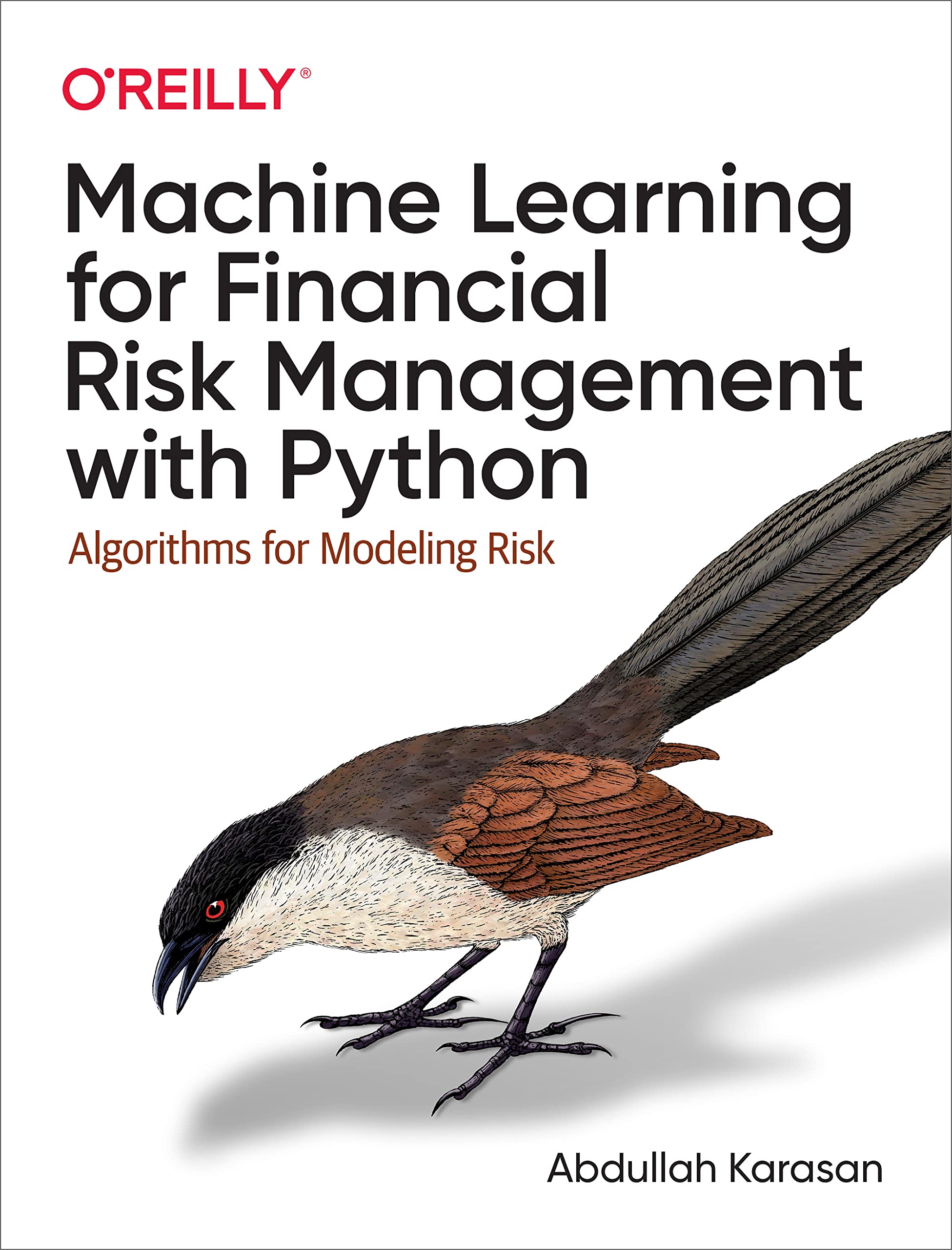 Machine Learning for Financial Risk Management with Python Algorithms for Modeling Risk (Abdullah Karasan)