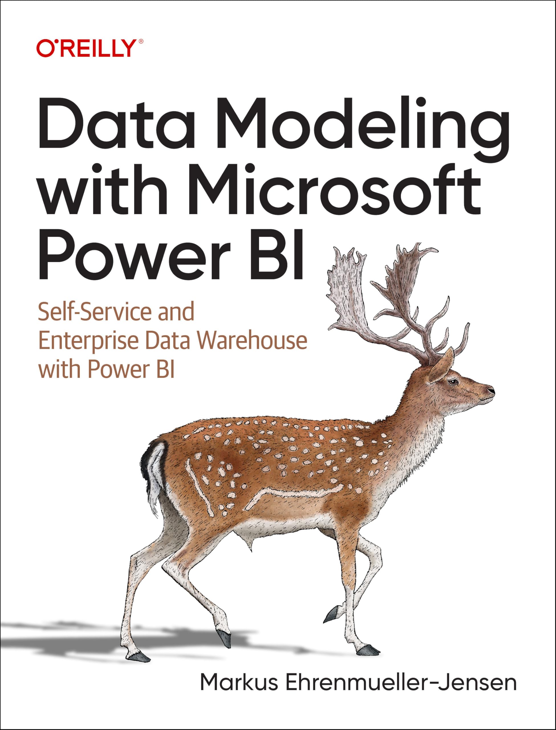Data Modeling with Microsoft Power BI – Sách ITBook Mô Hình Hóa Dữ Liệu Chuyên Sâu | 2024