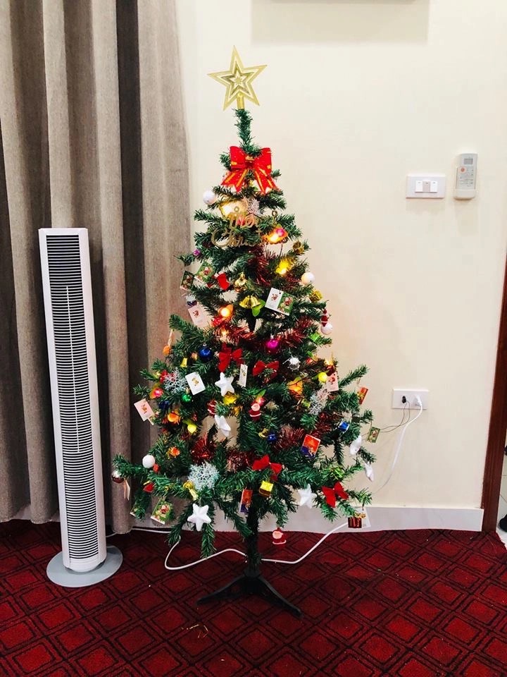 Cây thông noel size 1.6m tặng kèm phụ kiện trang trí- mẫu về ngẫu nhiên tùy lô (hình mang tính minh họa) [BH: NONE]