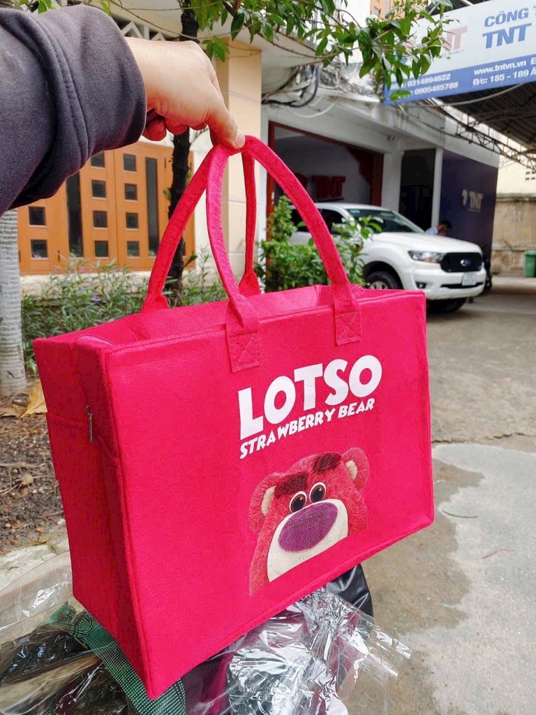Túi nỉ vải dệt họa tiết hoạt hình gấu dâu Lotso size 40x30x20cm [BH: NONE]