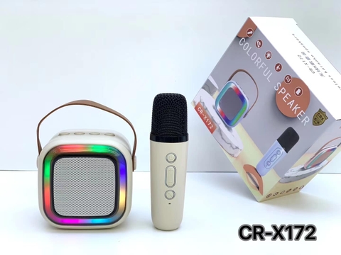 Loa karaoke mini X172 tặng kèm 1 micro không dây (kiểu dáng K12) [BH: 3 THÁNG]