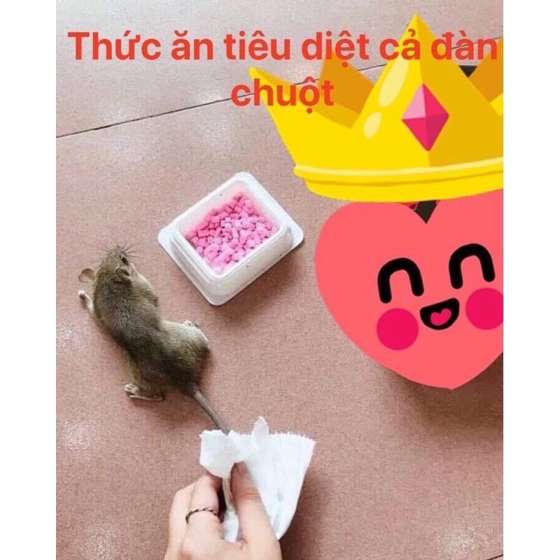 Thuốc diệt chuột Thái Lan 80gr [BH: NONE]