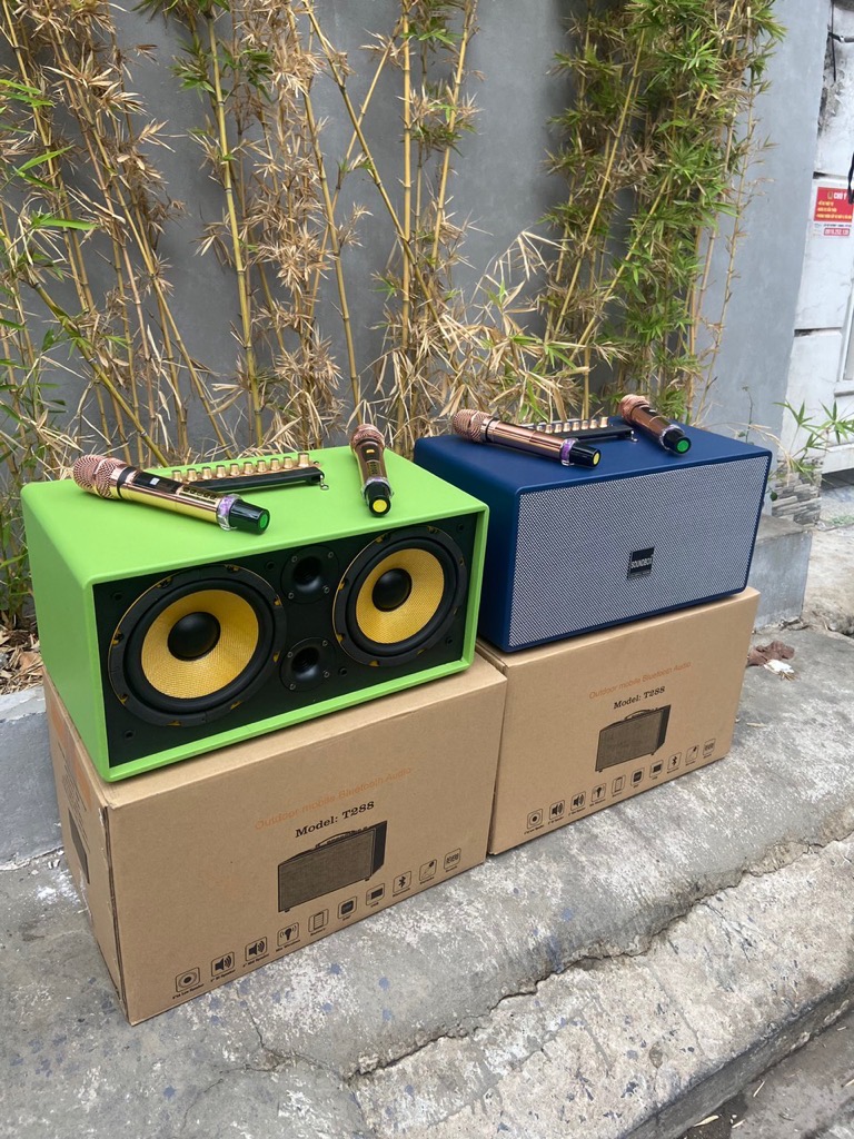 Loa kéo 2 tấc đôi Soundbox T-288 180w di động karaoke siêu hay bluetooth kèm 2 micro không dây [BH 1 năm]