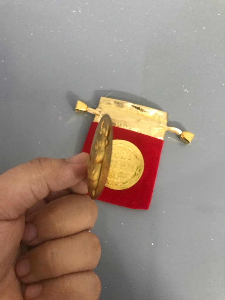 Hàng Lưu Niệm Đồng Xu Trâu Vàng kèm Túi Đựng / pktn sale