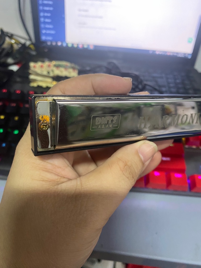 Thanh lý COMBO 2 cây duy nhất kèn harmonica 24 lỗ [do lưu kho nên vít hơi gỉ sét, khách mua về chùi lại sd bình thường] [BH: NONE] / pktn sale