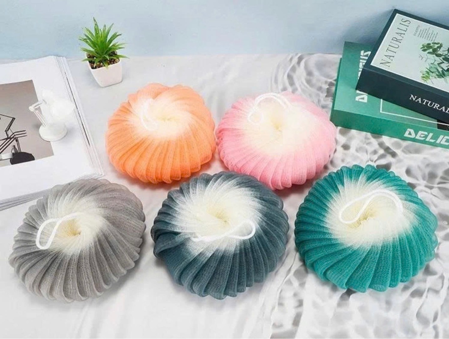 Bông tắm phối 2 màu [BH: None] 1l1