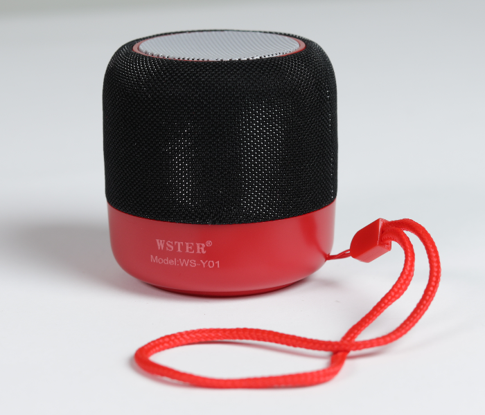 Loa bluetooth WSTER WS-Y01 mini có dây treo [BH 3 tháng] / pktn sale