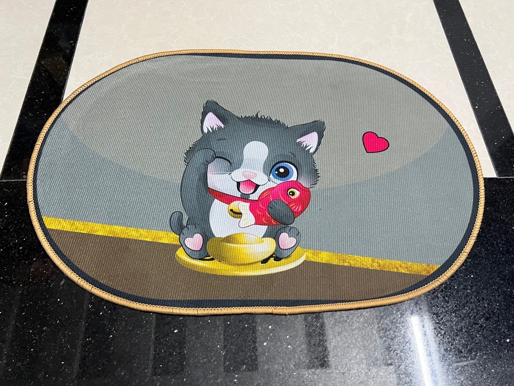 Thảm chùi chân 40x60cm may viền xịn dày nhiều hình siêu kute cho nhà bếp, phòng tắm, phòng khách