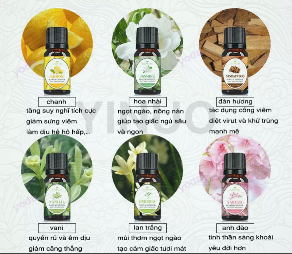 Tinh dầu tự nhiên thơm phòng chai 10ml nhiều mùi [BH: None] / pktn sale