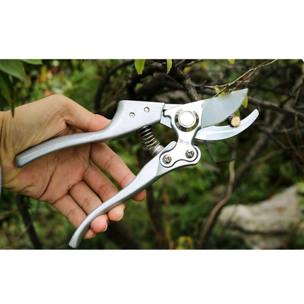 Kéo cắt tỉa cành, kéo làm vườn Japan ZS210 [BH: NONE]