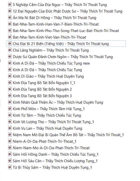 Thẻ nhớ 2Gb gồm 22 Bài Kinh Tụng [BH: 1 NĂM]