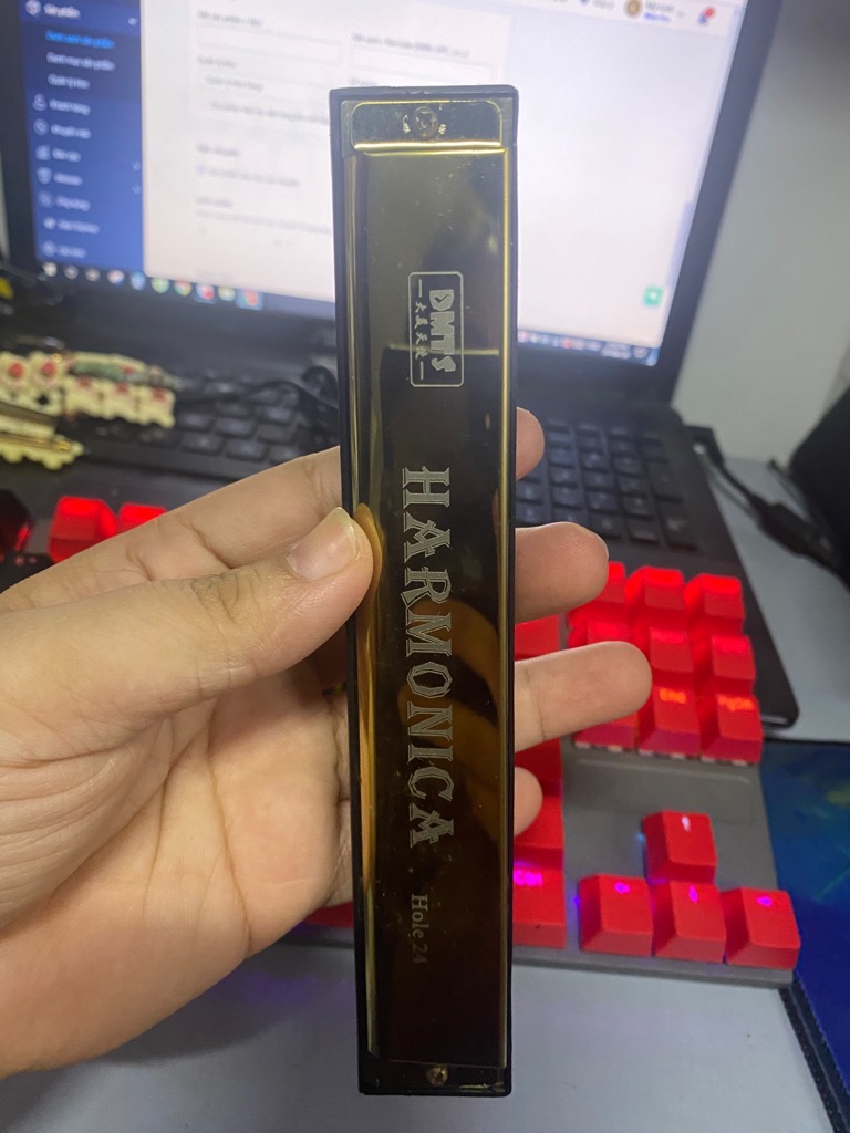 Thanh lý COMBO 2 cây duy nhất kèn harmonica 24 lỗ [do lưu kho nên vít hơi gỉ sét, khách mua về chùi lại sd bình thường] [BH: NONE] / pktn sale
