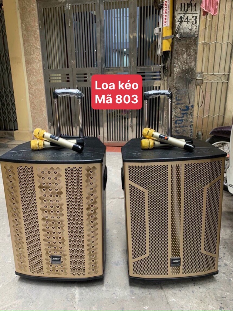 Loa kéo hát karaoke 803 / 808 kèm 2 micro không dây hát karaoke [BH 6 tháng]