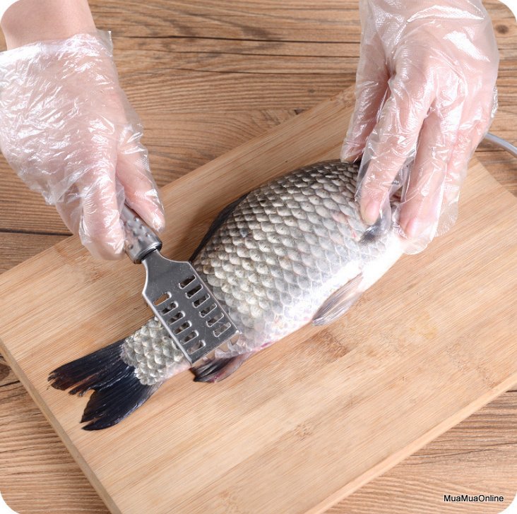 Dụng cụ đánh vảy cá cây inox làm bếp