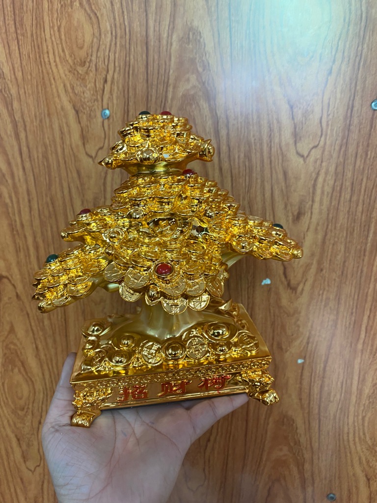 Cây Kim tiền phong thủy tài lộc, may mắn trung bàn thần tài, bàn làm việc, decor [BH: NONE]