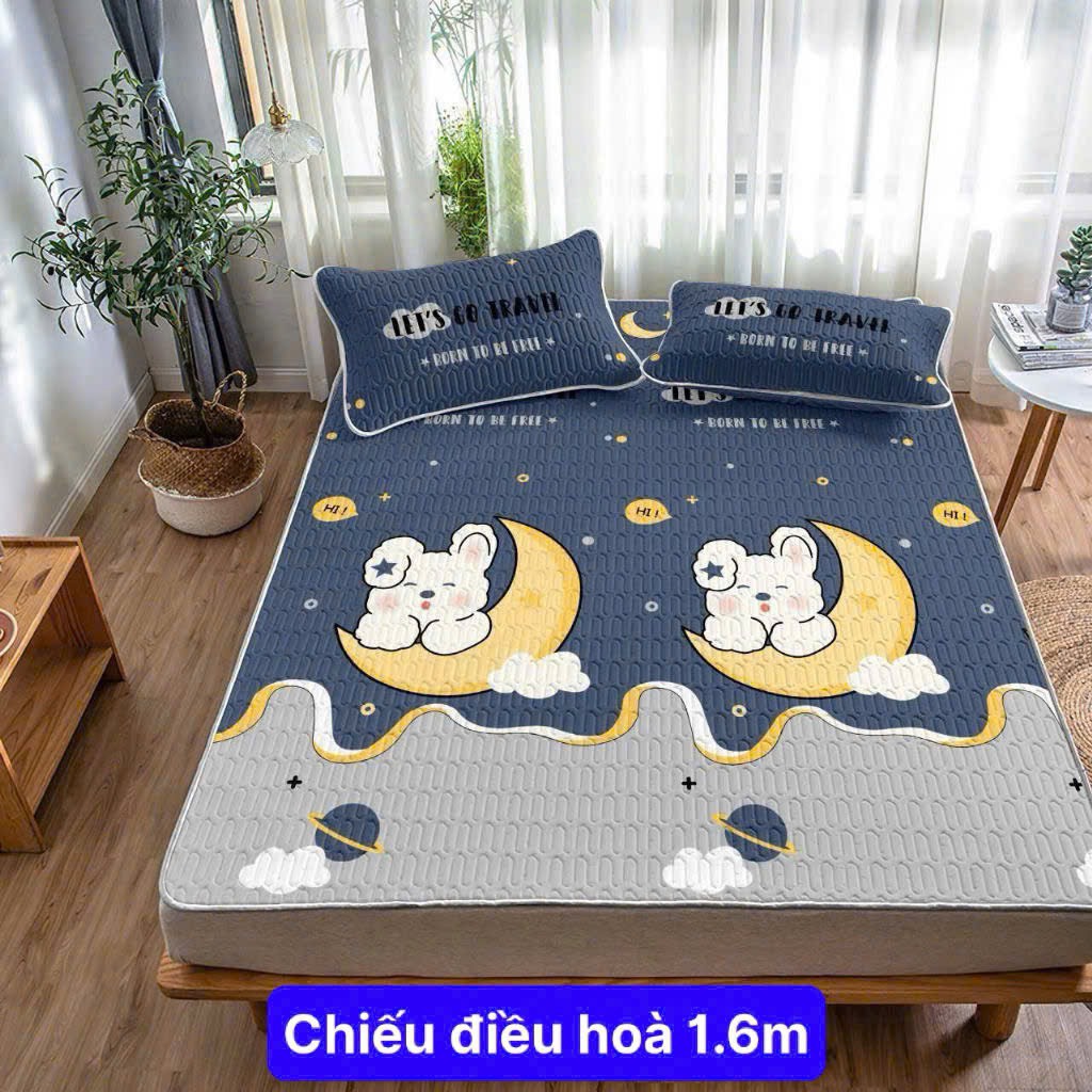 Chiếu điều hòa cao su non siêu êm, siêu mát size 1m6- Họa tiết màu sắc ngẫu nhiên theo lô [BH: NONE]