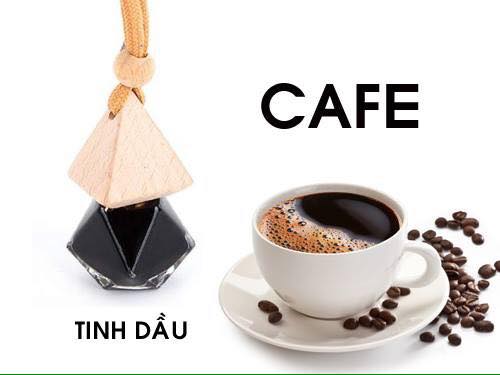 Tinh dầu hoa Ngọc Lan Tây/ Lily/ Cà Phê/ Nhài T13 treo ô tô 10ml- KHÁCH MUA HƯƠNG NÀO GHI CHÚ DÙM EM (KO GHI CHÚ VỀ NGẪU NHIÊN) [BH: NONE]