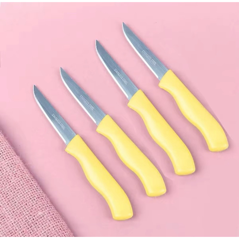 Vỉ 12 dao gọt trái cây siêu bén  STAINLESS STEEL KNIFE [bh: none] 1l9a2