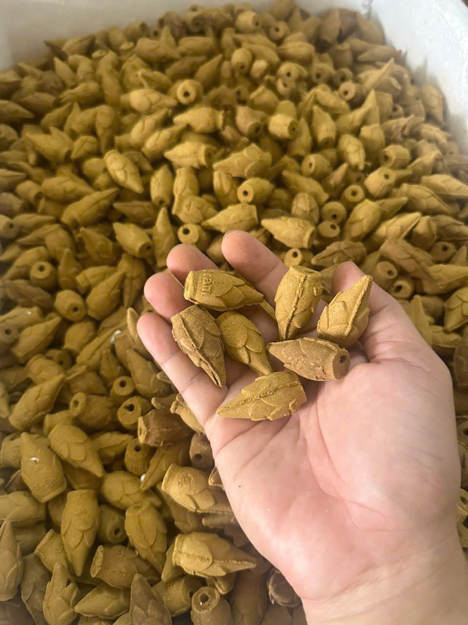 100 Gram Nụ Trầm Bắc loại ĐẶC BIỆT tẩy uế, kích tài lộc (tầm 22-24 nụ) [BH: NONE]