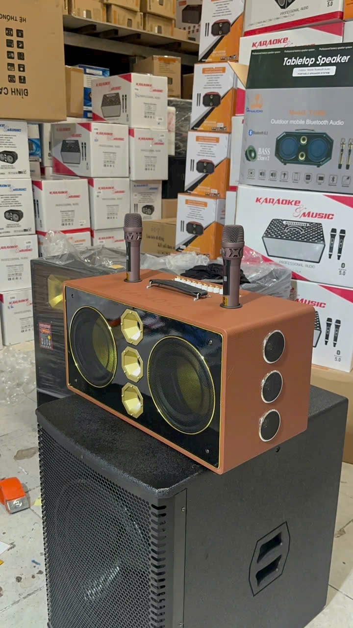 Loa bluetooth karaoke SOUNDBOX S901 bọc da cao cấp kèm 2 micro siêu hay [BH 1 Năm]