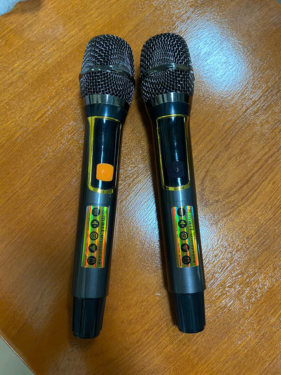 Loa bluetooth karaoke AT-379 loa Bass 20cm công suất tối đa 100w kèm 2 micro không dây siêu hay