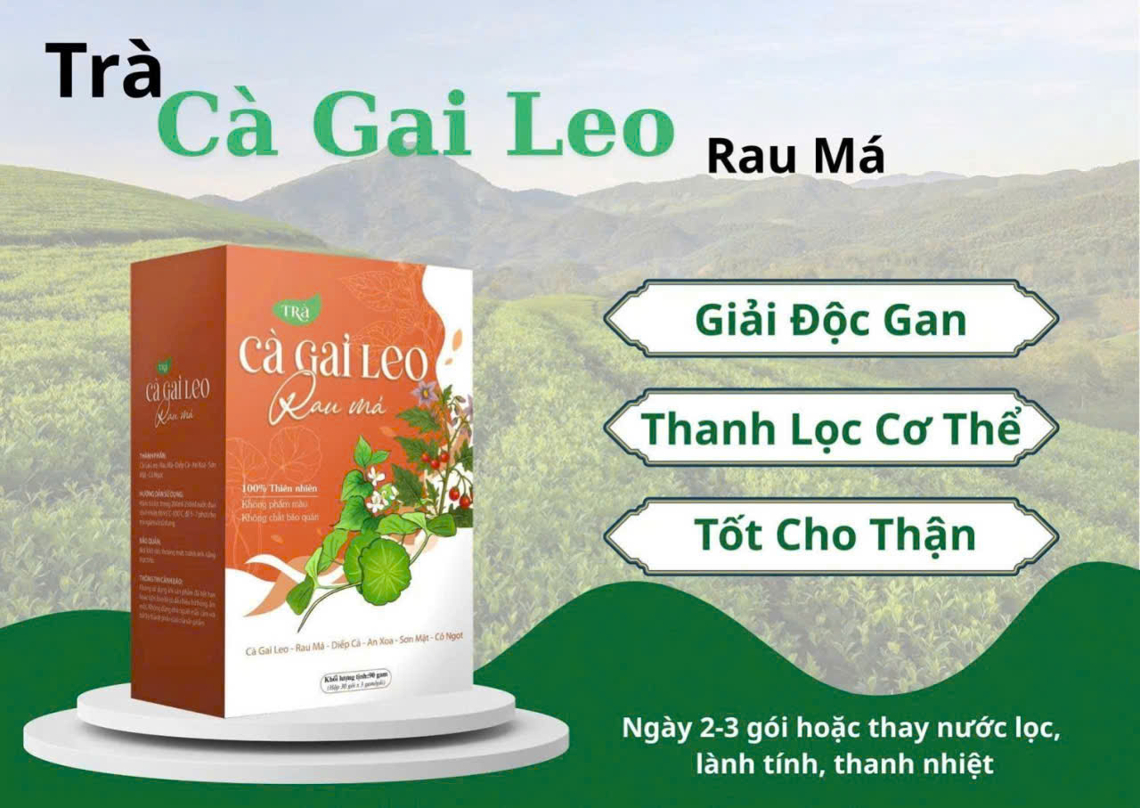 UỐNG TRÀ THẢO MỘC CÓ ĐANG LÀ XU HƯỚNG MỚI ?