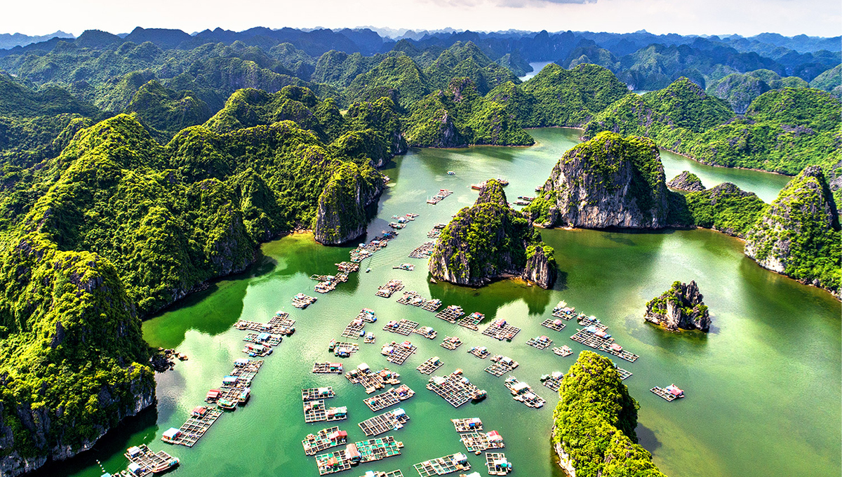 HÀ NỘI - SAPA - FANSIPAN - HẠ LONG 4 NGÀY 3 ĐÊM