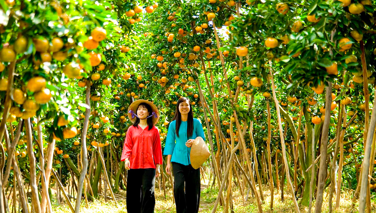 ĐỒNG THÁP - LÀNG HOA SA ĐÉC - HAPPY LAND HÙNG THY - CHÙA LÁ SEN - VƯỜN QUÝT LAI VUNG | 1 NGÀY
