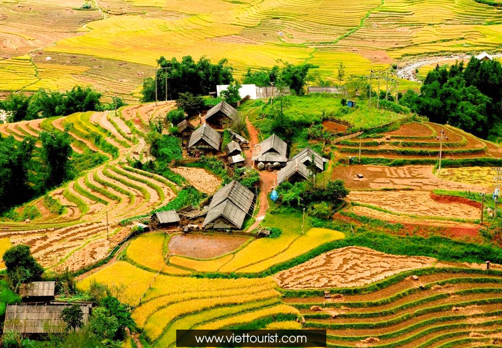 HÀ NỘI - SAPA - MÙ CANG CHẢI – BAY TRÊN MÙA VÀNG 4 NGÀY 3 ĐÊM