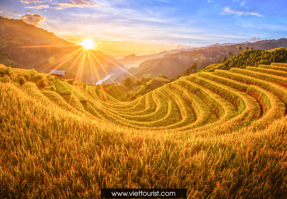 HÀ NỘI - SAPA - MÙ CANG CHẢI – BAY TRÊN MÙA VÀNG 4 NGÀY 3 ĐÊM