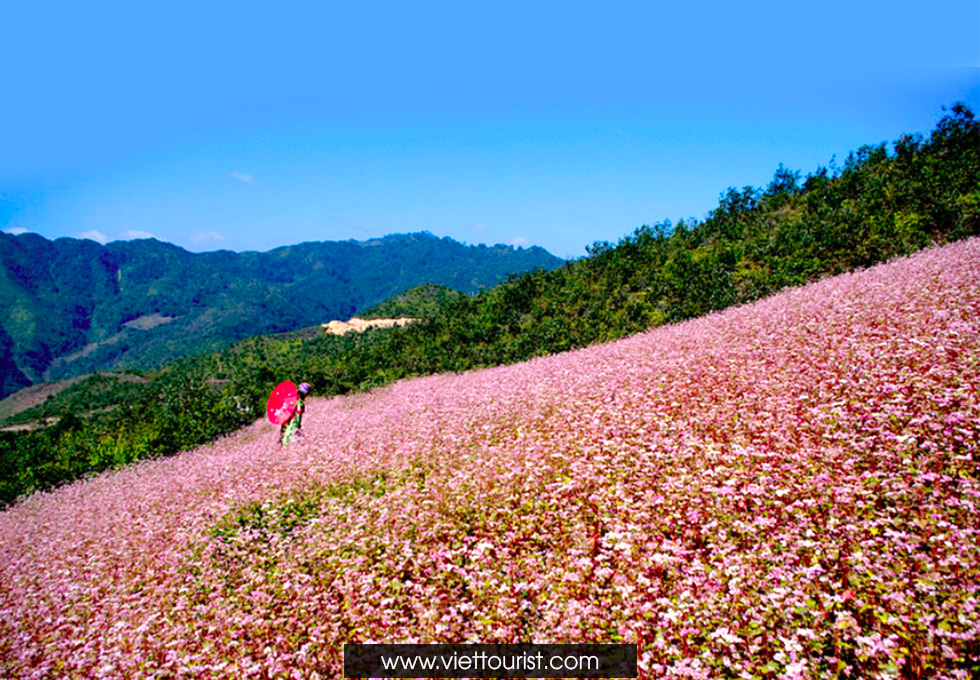 HÀ GIANG 3 NGÀY 2 ĐÊM