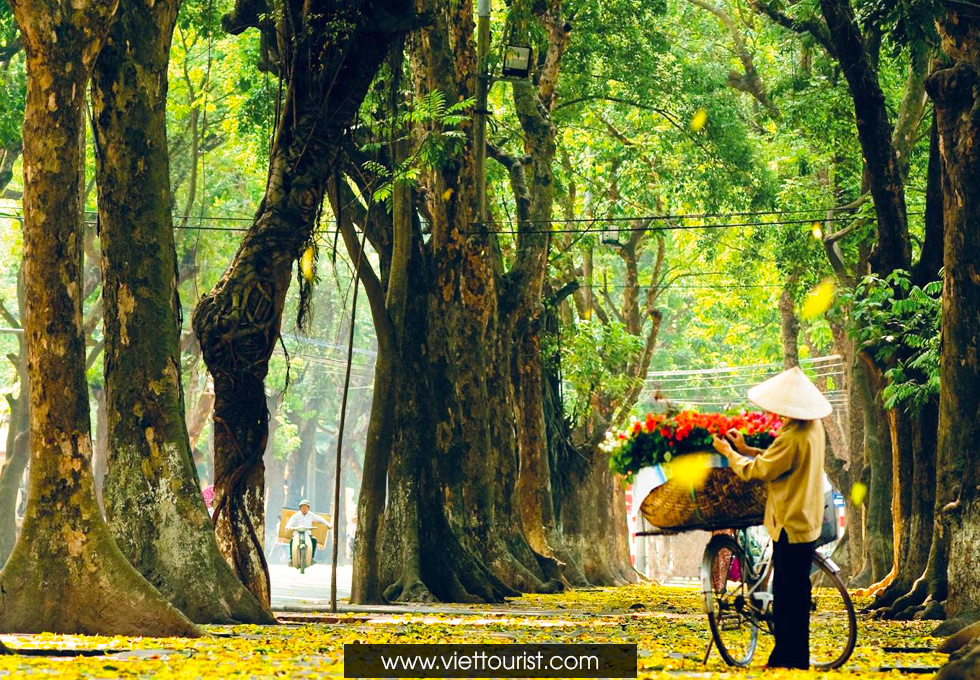 HÀ NỘI - SAPA - FANSIPAN 3 NGÀY 2 ĐÊM