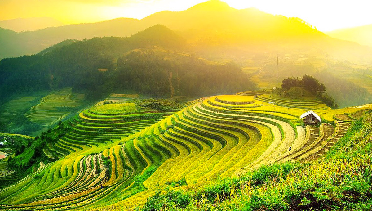 TÂY BẮC MÙA THU – LỄ HỘI BAY TRÊN MÙA VÀNG MÙ CĂNG CHẢI – YÊN BÁI - TÚ LỆ - NGHĨA LỘ 3 NGÀY 2 ĐÊM