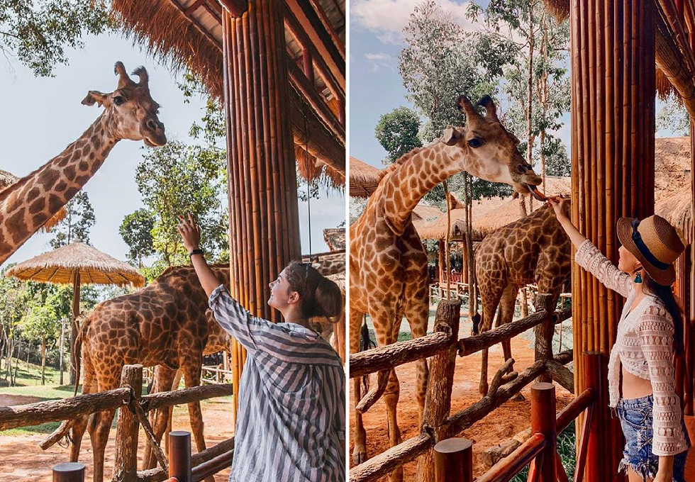 TOUR DU LỊCH PHÚ QUỐC - 3 ĐẢO - VINWONDER - SAFARI - GRANDWORD 3 NGÀY 2 ĐÊM - TẶNG CHỤP HÌNH FLYCAM