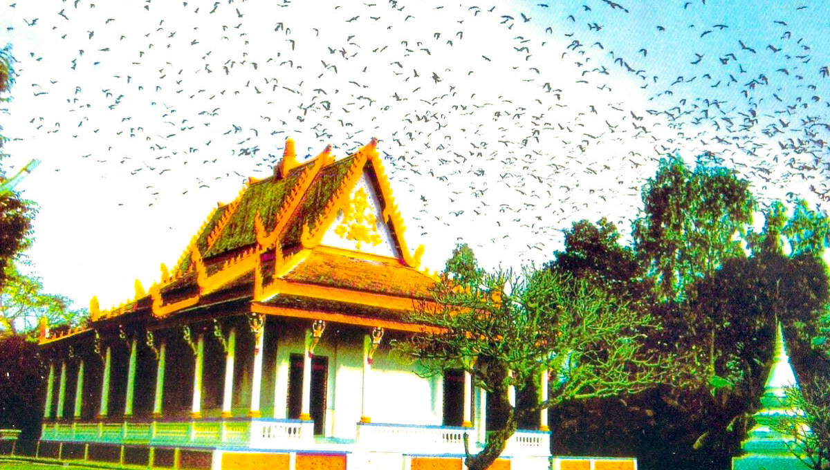 TIỀN GIANG - BẾN TRE - CẦN THƠ - CÀ MAU - BẠC LIÊU - SÓC TRĂNG - VĨNH LONG 3 NGÀY 2 ĐÊM