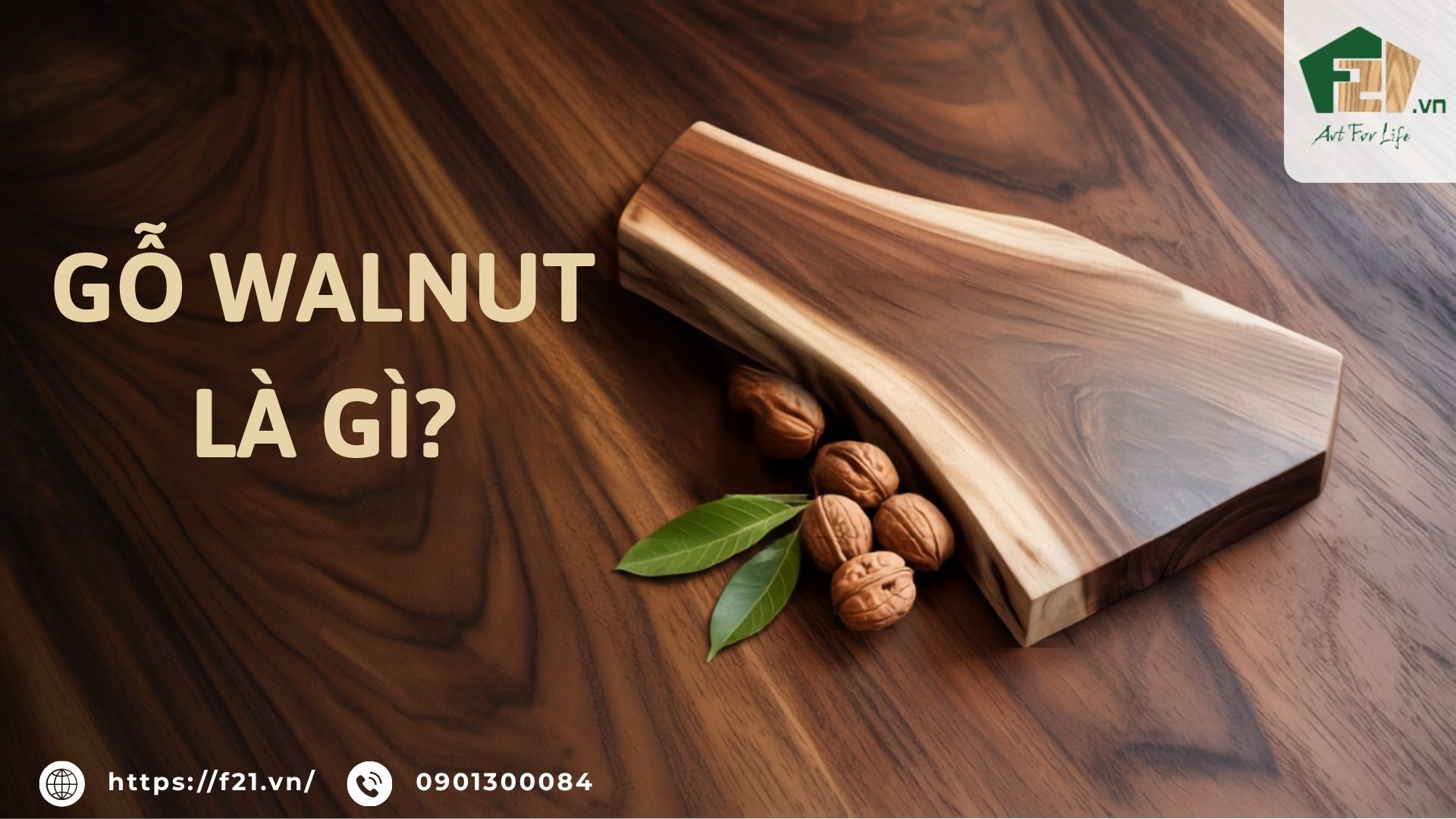 Gỗ Walnut (óc chó) là gỗ gì? Gỗ óc chó có đắt tiền không?