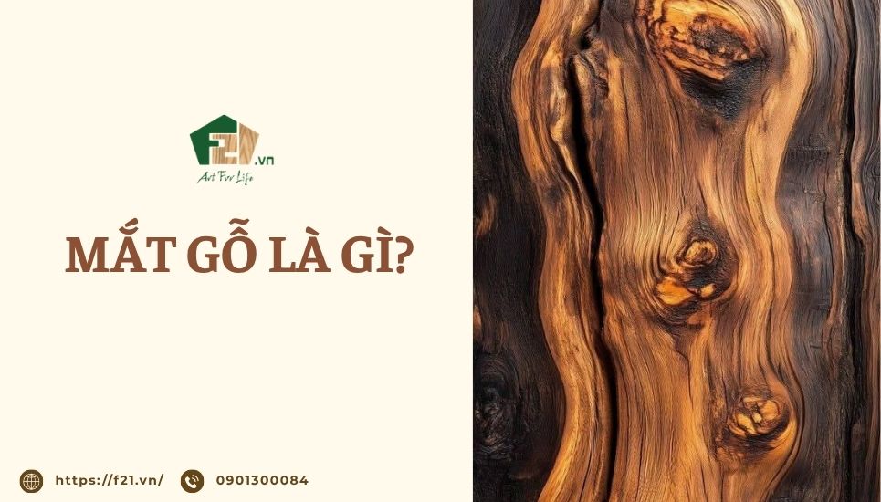 Mắt gỗ là gì? Các loại mắt gỗ, dác (giác) gỗ phổ biến