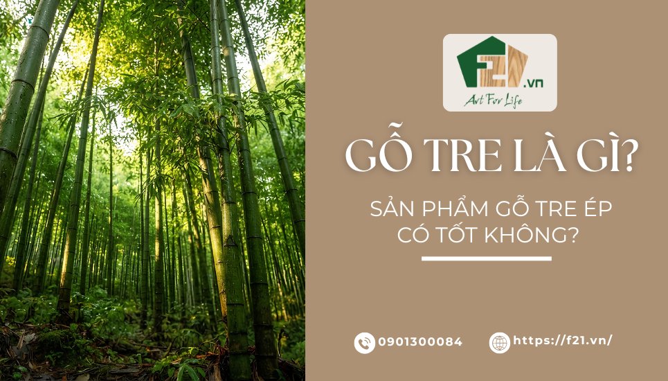 Gỗ tre là gì? Sản phẩm gỗ tre ép có tốt không?
