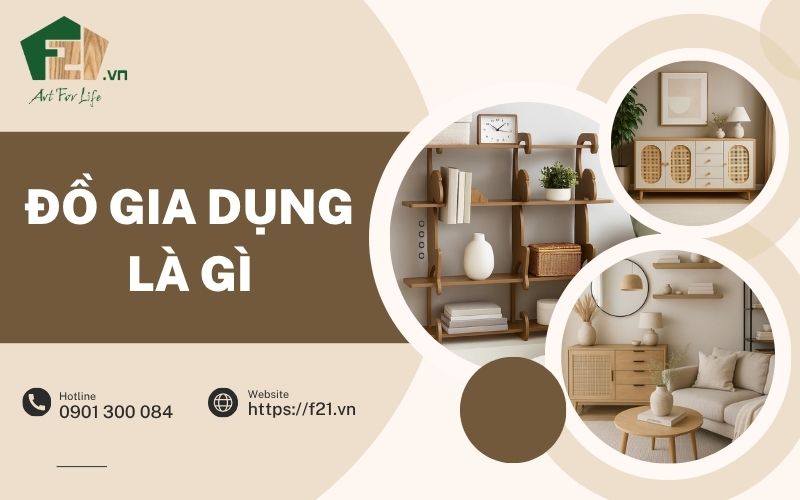 Đồ gia dụng là gì? Những sản phẩm đồ gia dụng nhà bếp phổ biến hiện nay