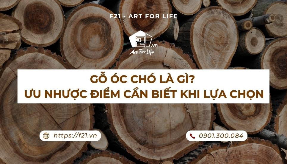 Gỗ Óc Chó Là Gì? Ưu Nhược Điểm Cần Biết Khi Lựa Chọn