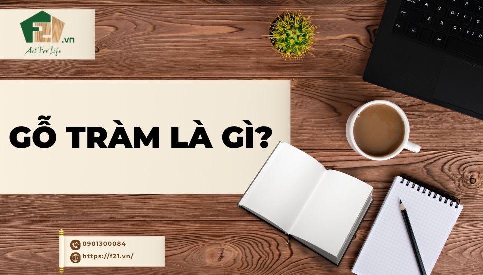 Gỗ tràm là gì? Tìm hiểu ứng dụng thực tế, ưu và nhược điểm.