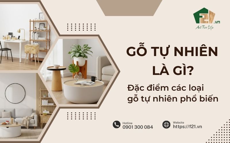 Gỗ tự nhiên là gì? Đặc điểm các loại gỗ tự nhiên phổ biến hiện nay