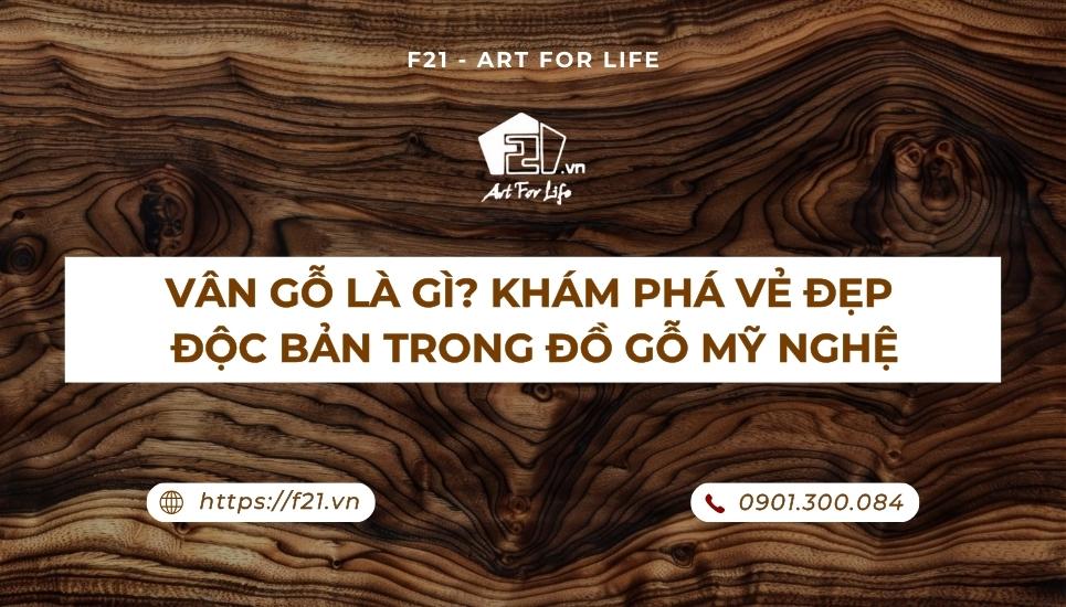 Vân gỗ là gì? Tổng hợp kiến thức – loại vân & ứng dụng trong nội thất