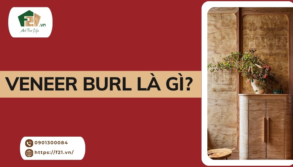 Veneer burl Là Gì? Giải đáp thắc mắc và công dụng thực tế