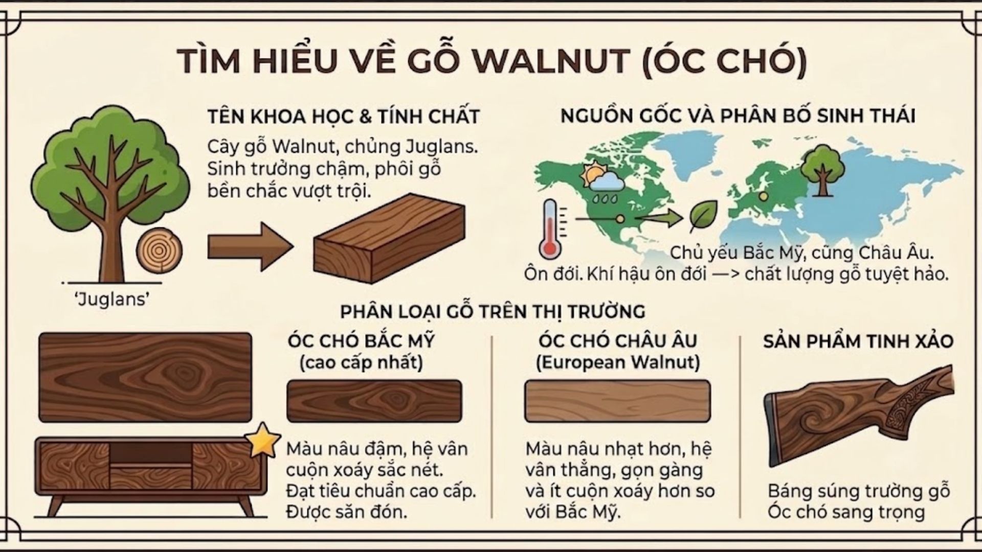 định nghĩa về gỗ walnut