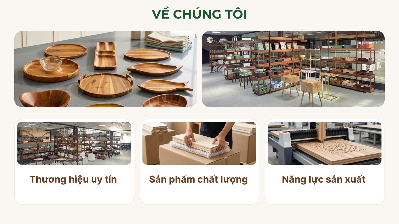 giới thiệu về F21