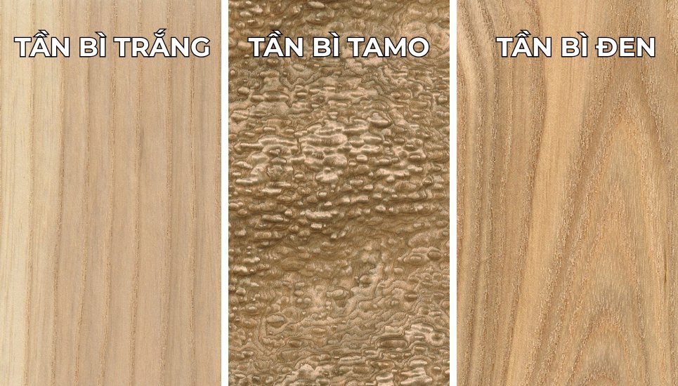 Các loại gỗ tần bì