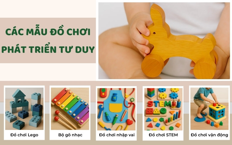 đồ chơi trí tuệ cho trẻ