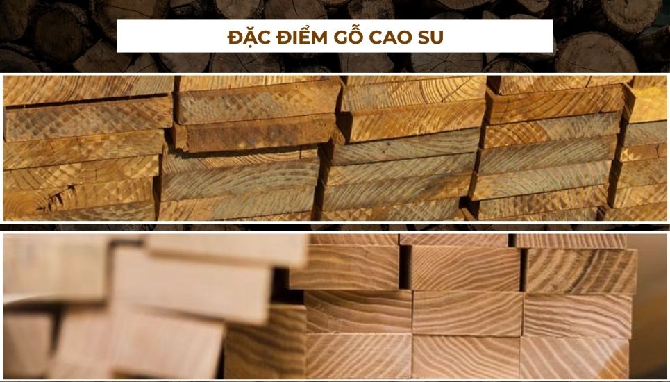 gỗ cao su là gì