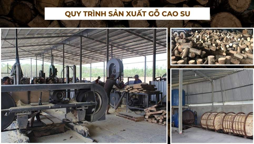 gỗ cao su là gì